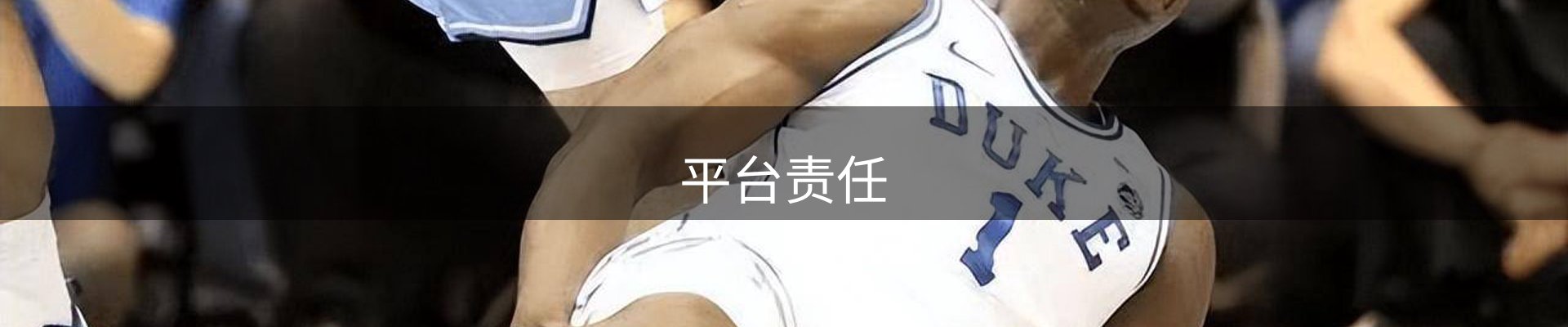 平台责任